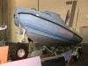 The Sealegs amphibious boat