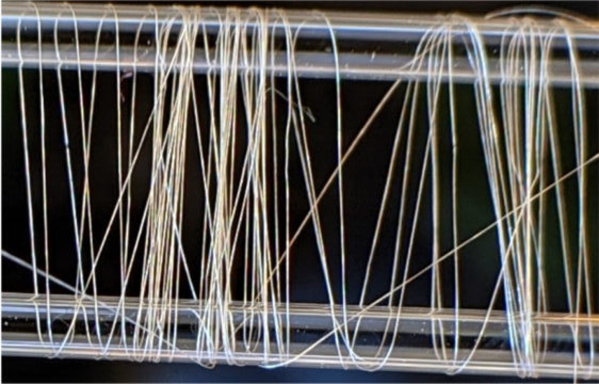 Synthetic spider silk stronger and tougher than the real thing