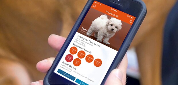The Connected Collar can be controlled and its data viewed using the Dogtelligent mobile app