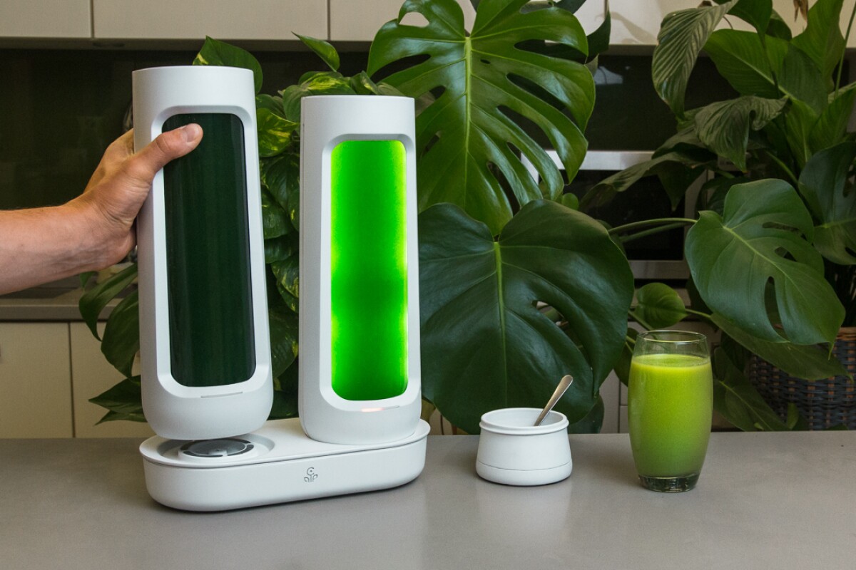 Each Bloom system comes with two single-serving pods, although multiple units can be daisy-chained together to grow more servings at the same time