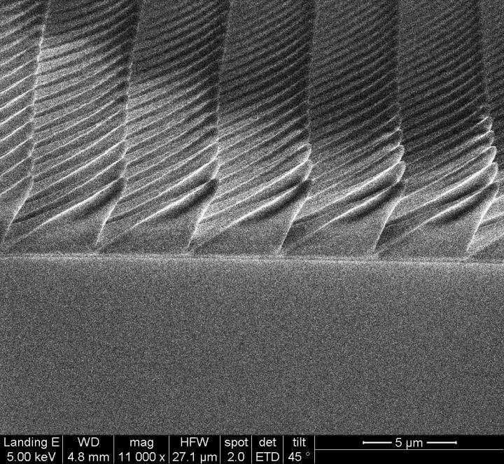 A scanning electron microscope image of the 3D-nanoprinted microstructures