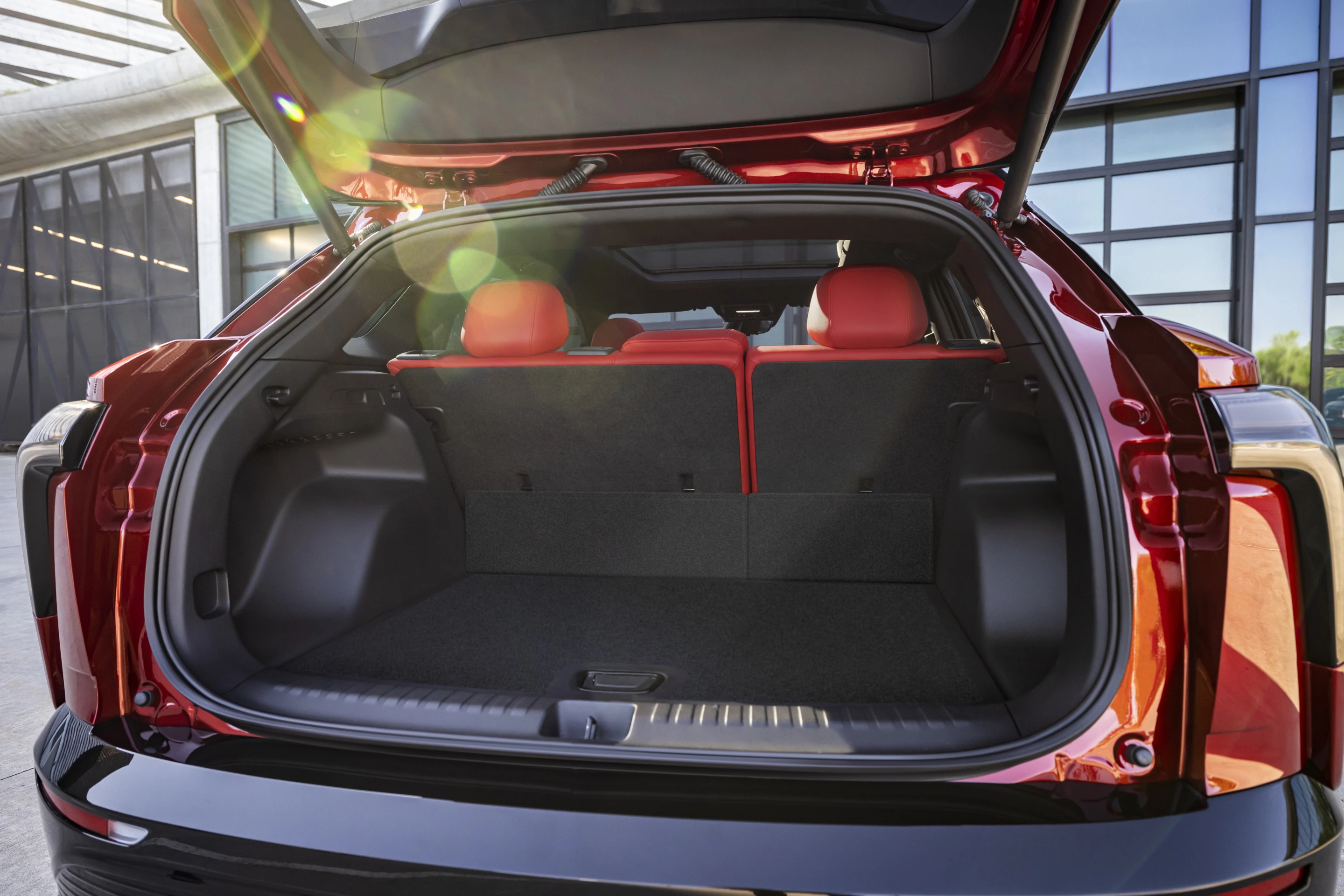 A look at the trunk