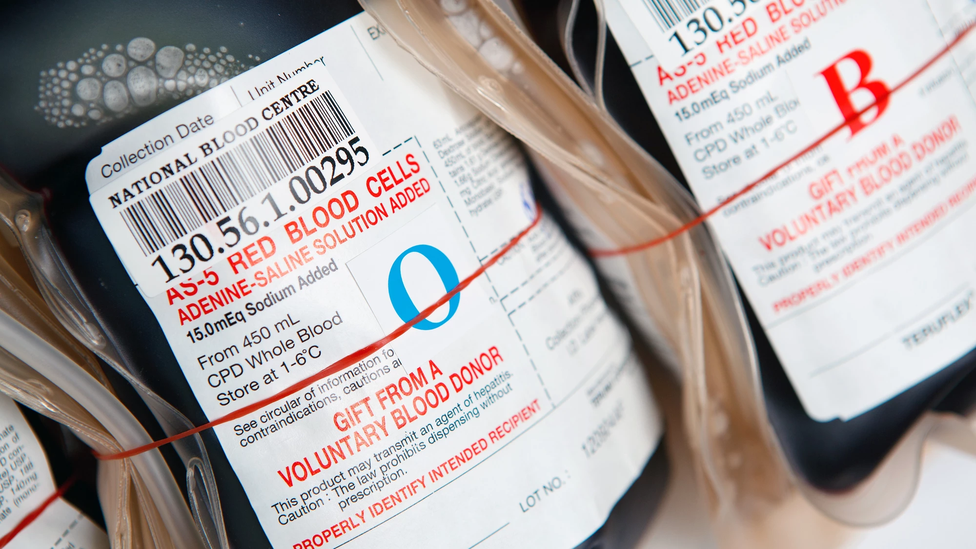 Researchers are a step closer to creating universal donor blood, thanks to a common gut bacteria