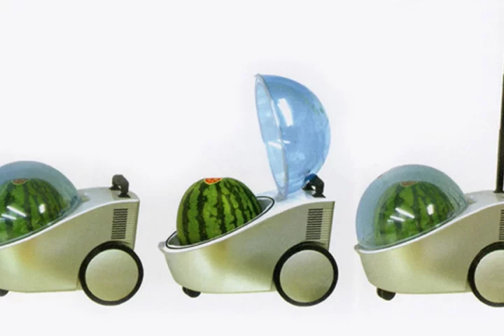 The Marugoto Tamachan portable watermelon cooler - and warmer