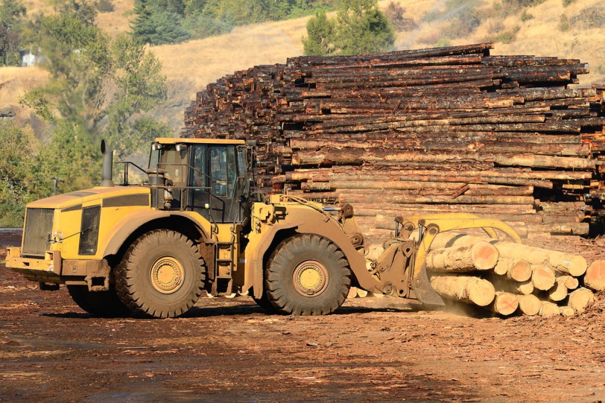 Laser "un-printers" would allow paper to be re-used, reducing the need for virgin wood pulp (Photo via Shutterstock)