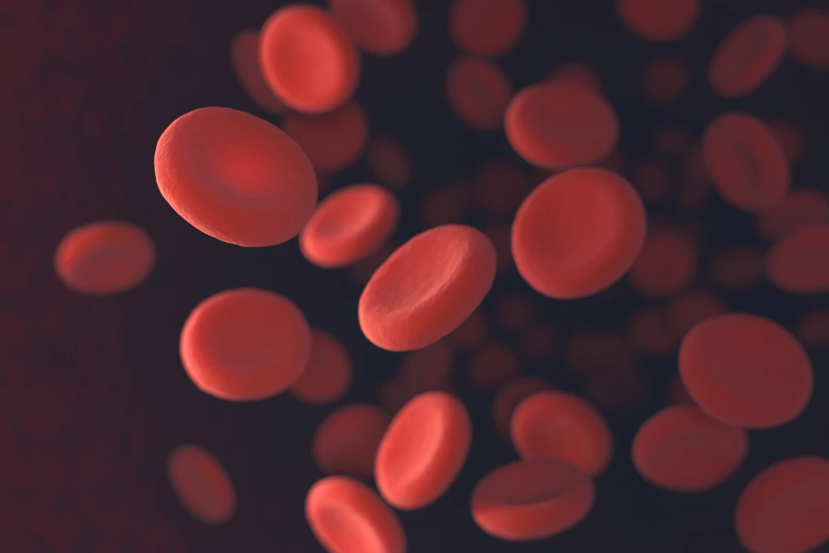 Researchers have created artificial red blood cells with more potential capabilities than real ones