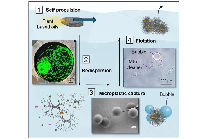 This diagram shows how the microcleaners use soft dendritic colloids to collect submerged microplastic particles, then bring them to the surface