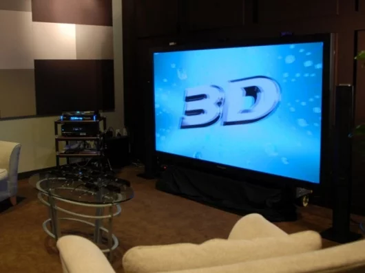 Panasonic's display at CES 2009