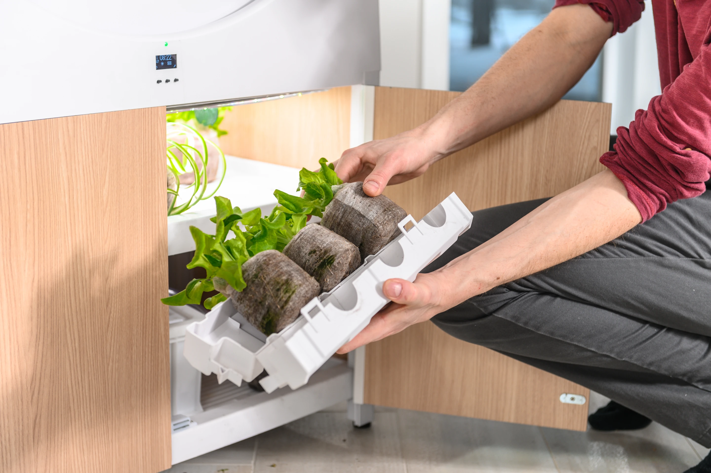 After about 3 weeks, plants can be moved from the nursery to the OGarden Smart's main wheel