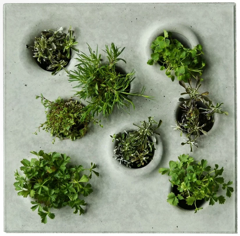A single Grey to Green paving slab as viewed from above... the green breaking up the unending grey