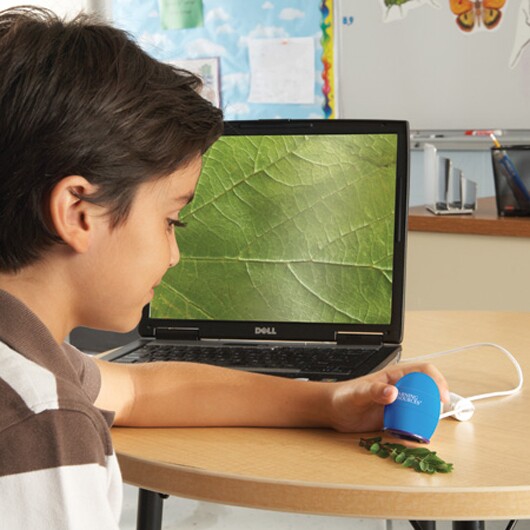 Zoomy lets kids take digital photos of microscopic details