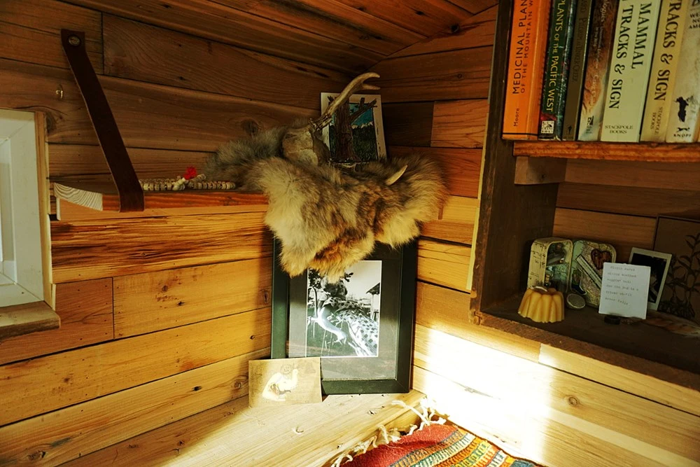 The Wheelie shack has spray foam insulation installed