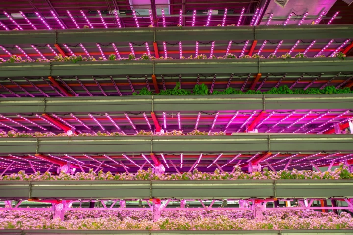 The Louisville farm will accommodate 10 rows of vertical grow beds