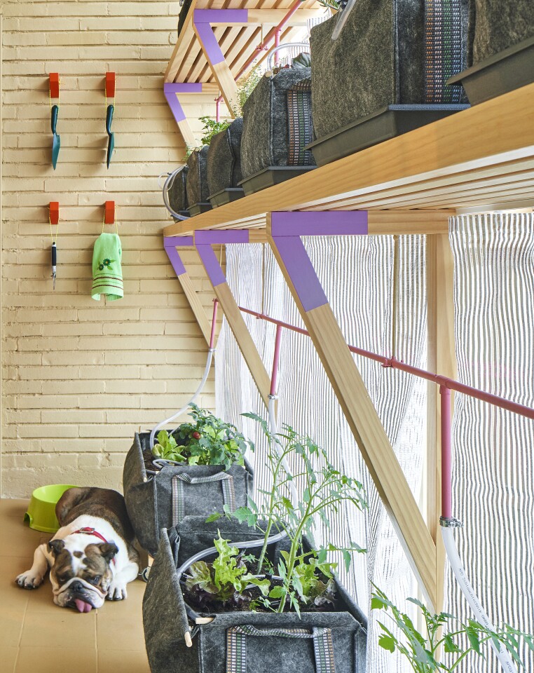 The apartment features a small indoor garden