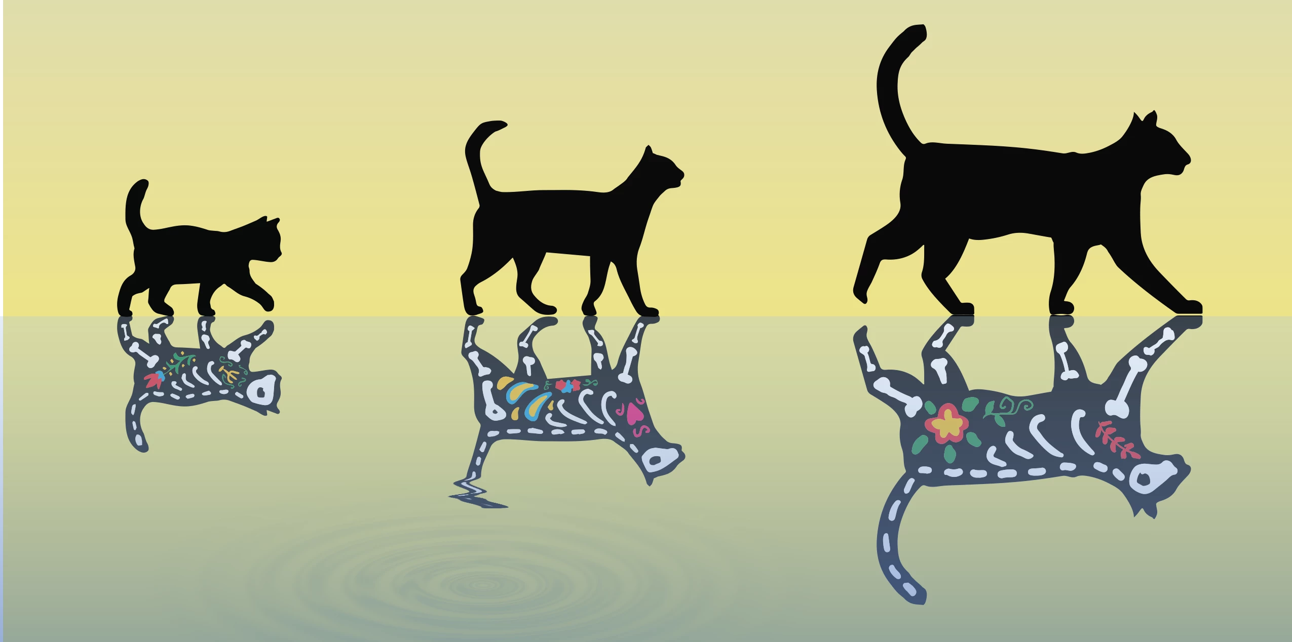 An artist's impression of "Schrödinger's cats" of various weights, which a new study has probed