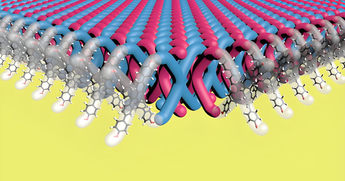 Chainmail Basic Structure 21st-century chainmail uses molecular instead of metallic links News ...