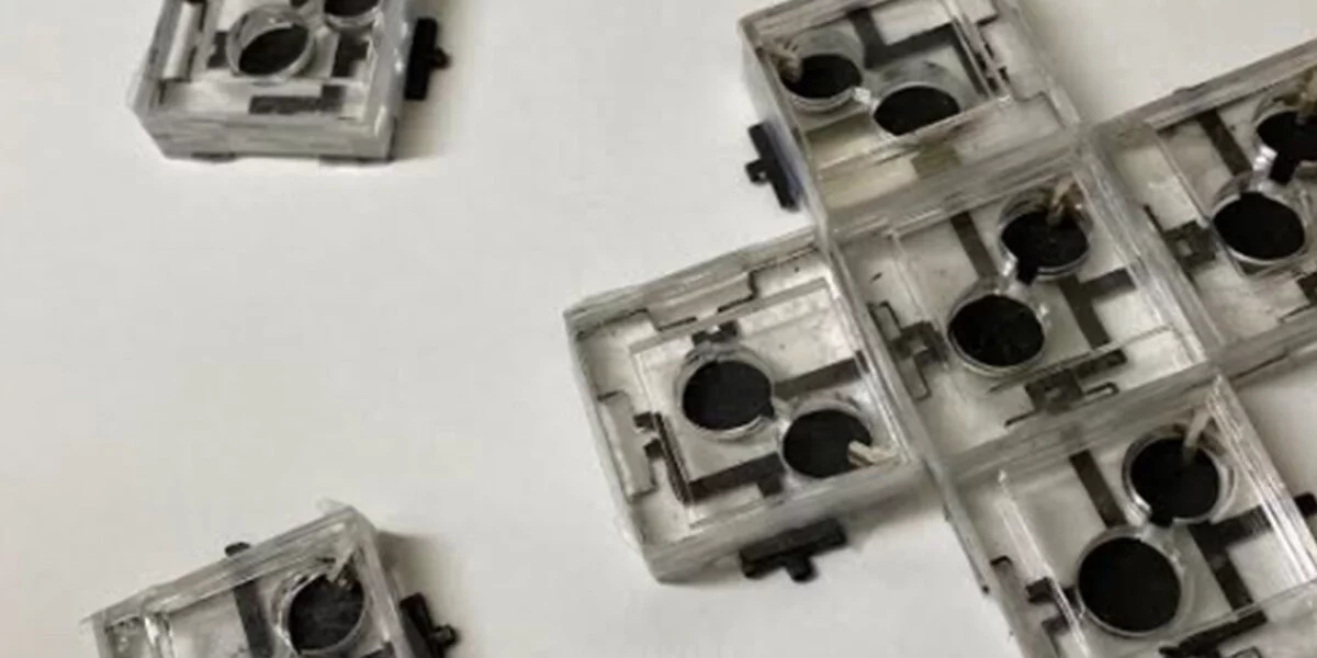 New biobatteries contain three layers of distinct bacteria, each with their own job to do in producing electricity