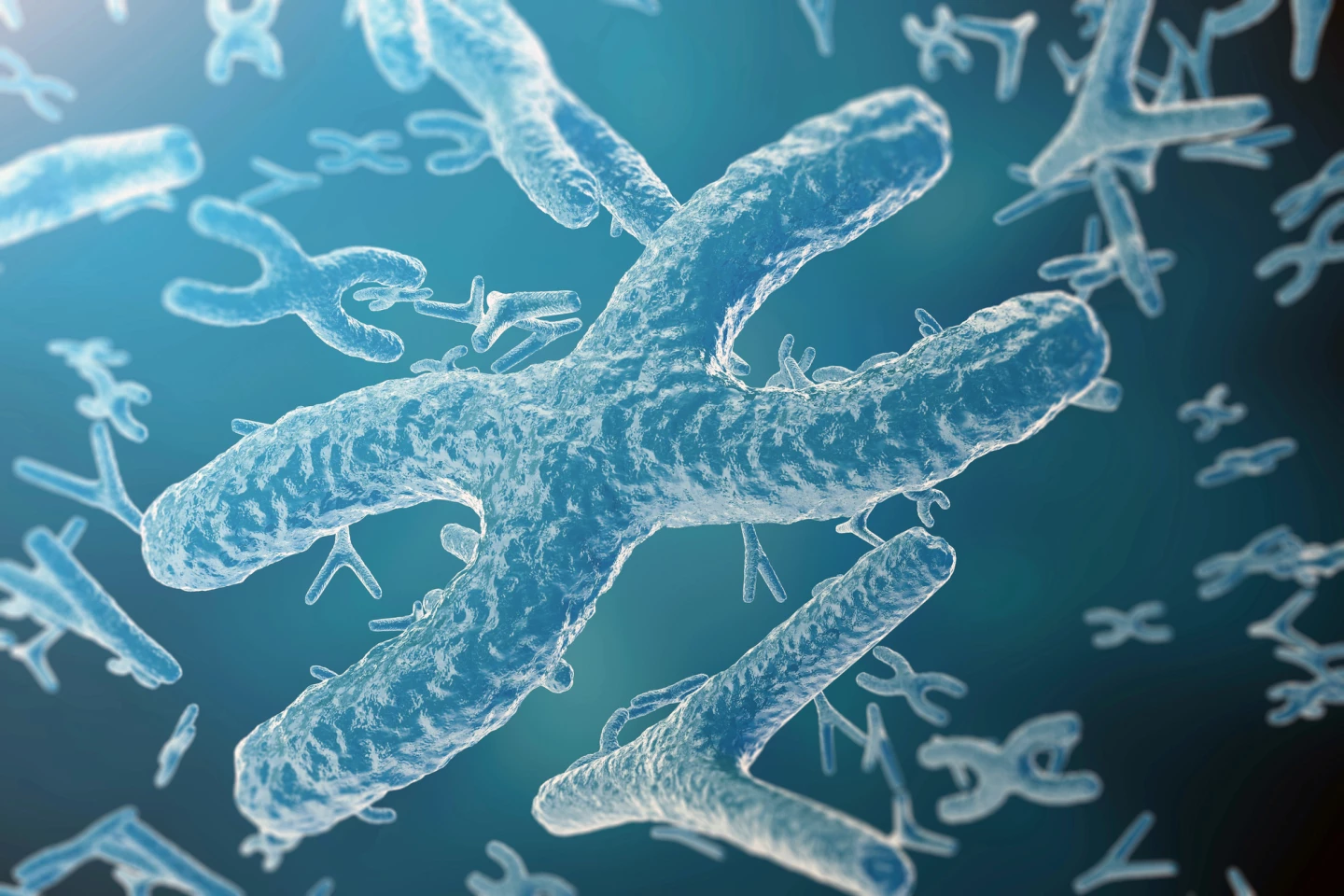 THC was linked to incorrect numbers of embryonic chromosomes