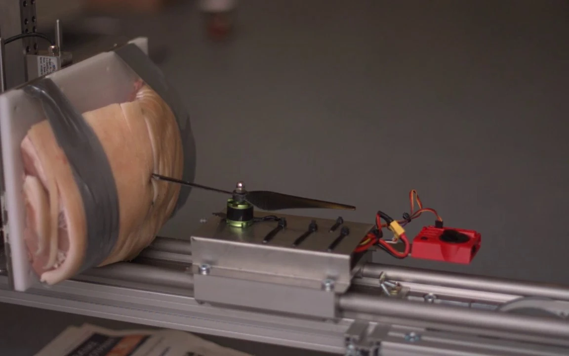 A pork roast meets a drone propellor as part of safety research