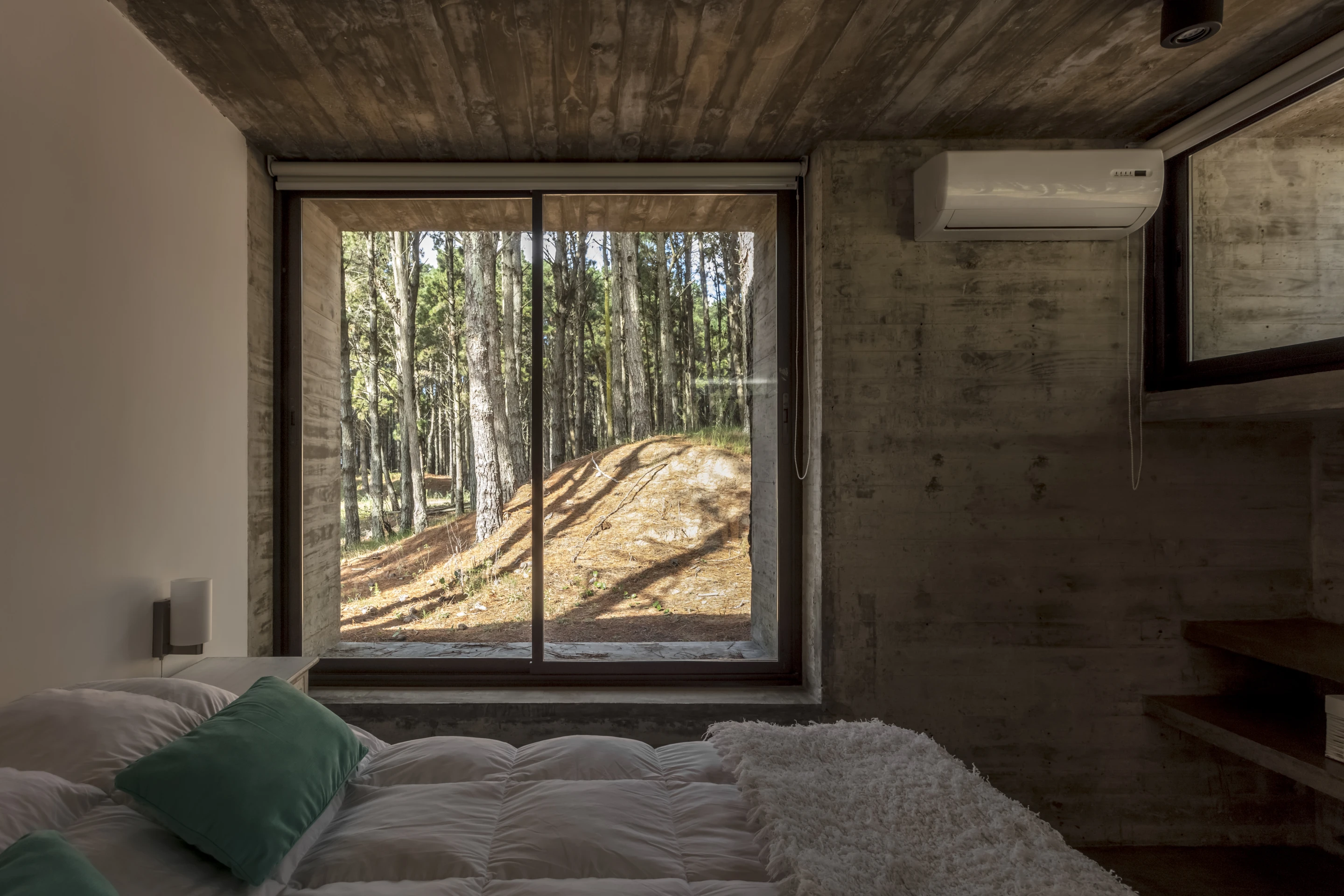 The Forest House is made from three separate blocks that stagger down a gentle hillside
