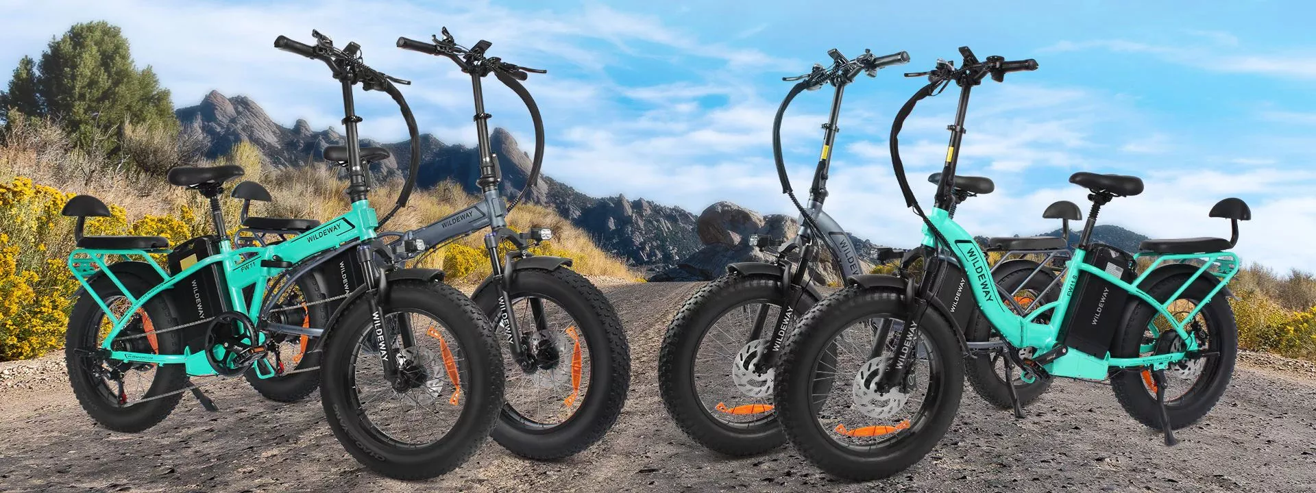 The FW11 step-over and FW11S step-through ebikes feature a rear rack sporting a padded seat that's rated to haul a passenger weighing up to 110 lb