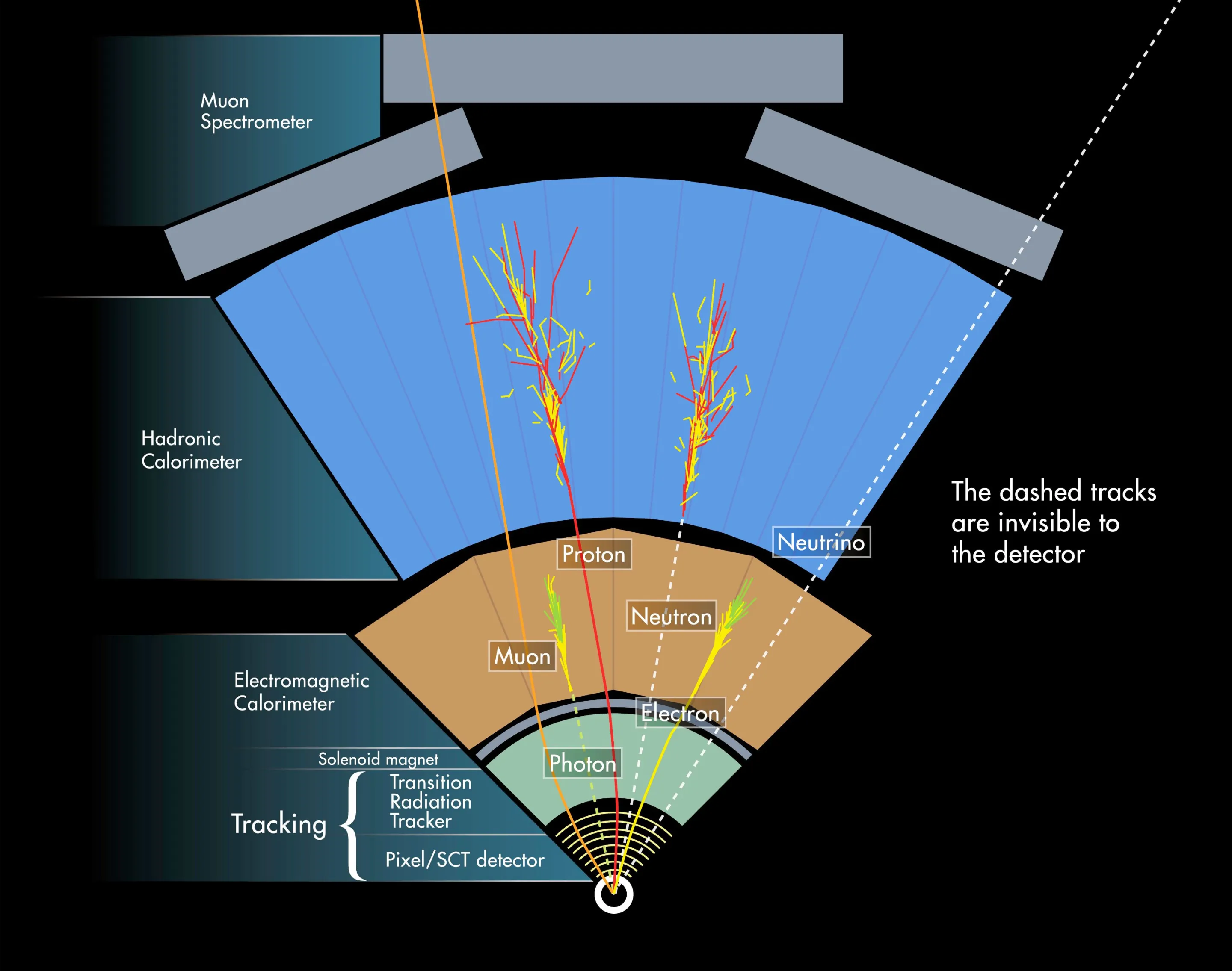 The ATLAS detector consists of four concentric detector arrays as explained in this figure (Photo: CERN)