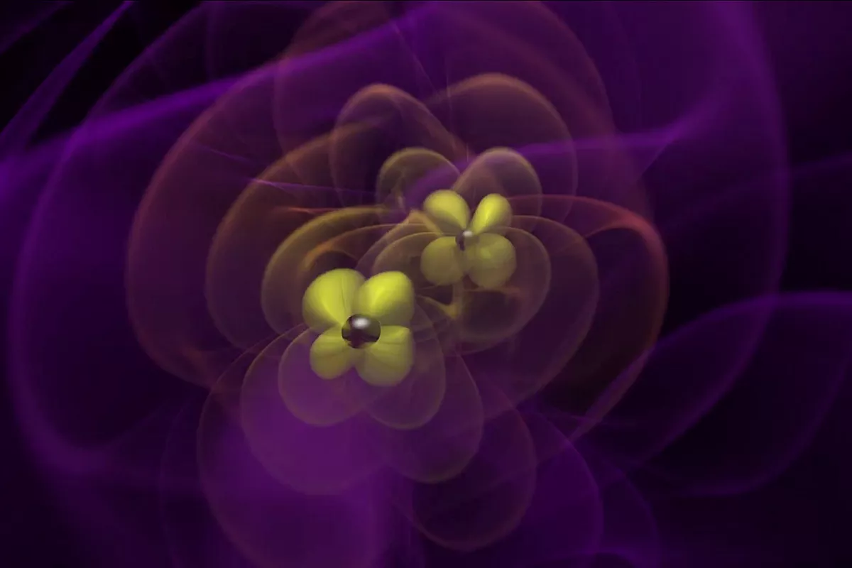 Distortions of space-time caused by the rapidly orbiting masses of two black holes become gravitational waves as they spread out and weaken