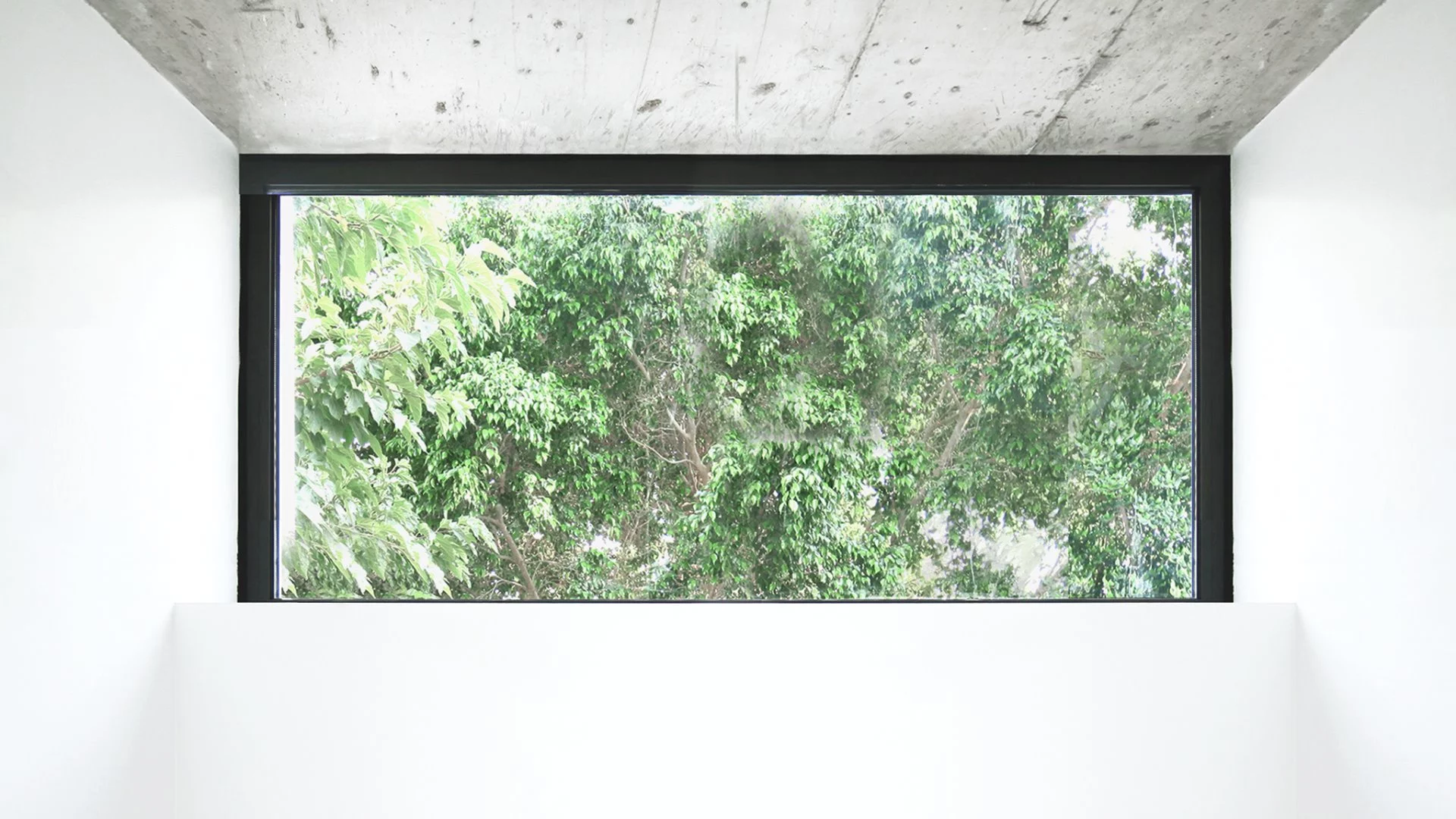 Elevated window featured in the master bedroom lets in lots of natural light