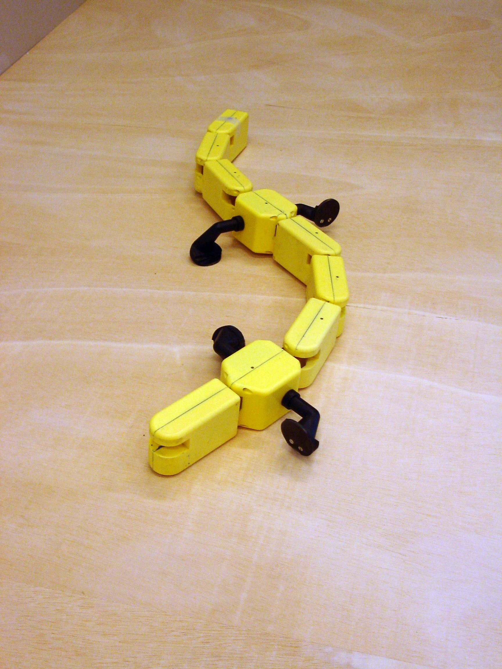 The researchers hope the upgraded motion will help in developing more amphibious robots that can travel over land and water equally (Photo Credit: A. Crespi, Biorobotics Laboratory, EPFL)
