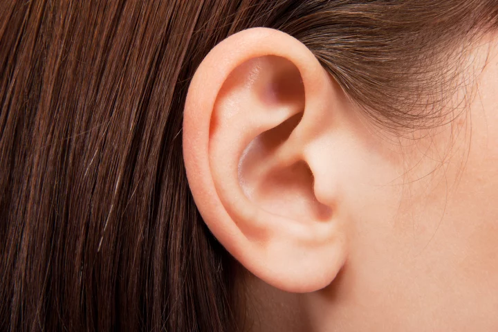 Damaged or deformed ears could be rebuilt using the patient's own fat (Photo: Shutterstock)