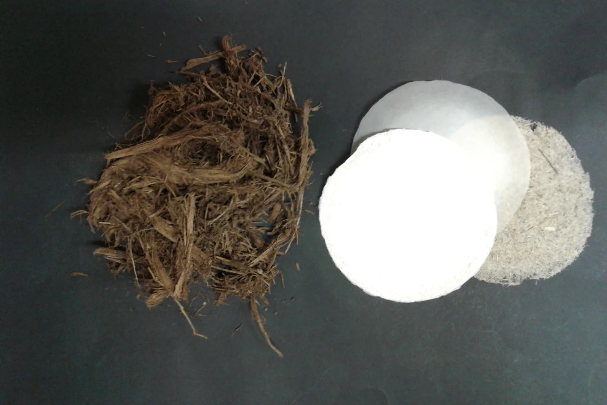 Elephant dung (left), along with paper made from it