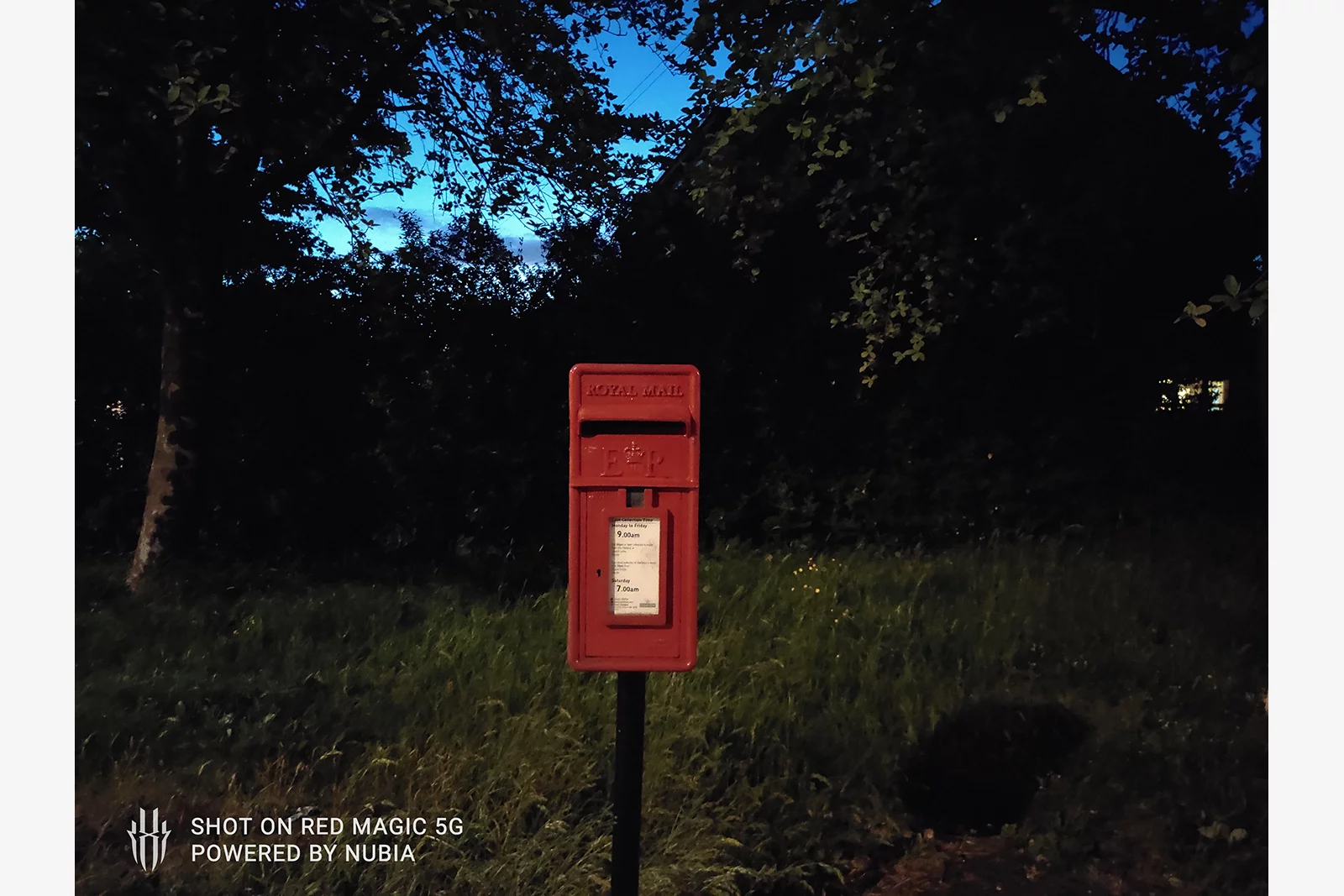 The RedMagic 5G can still get some decent photos in low light