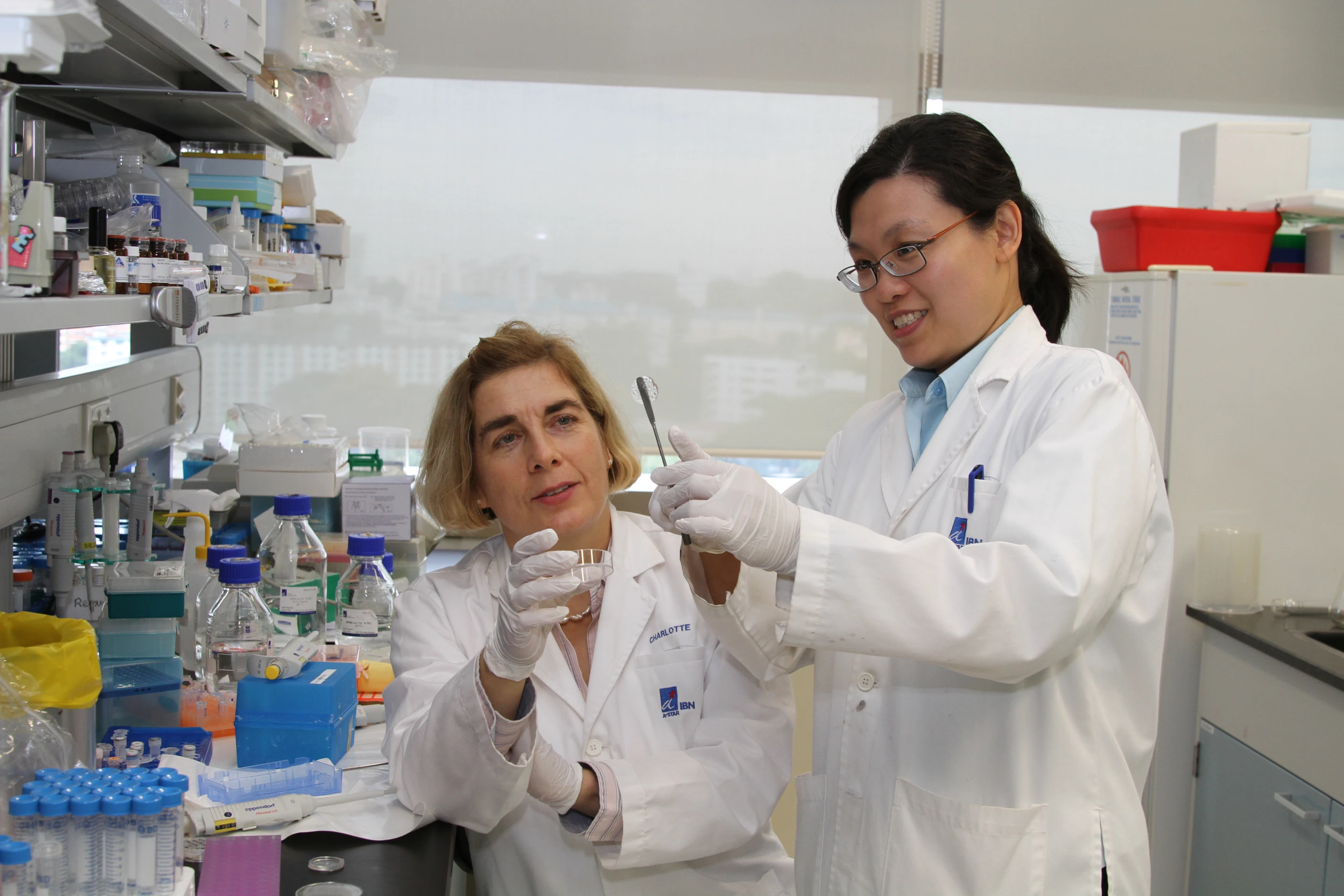 IBN researchers, Dr Charlotte Hauser (left) and Dr Yihua Eva Loo, examining the peptide hydrogel they have produced in the lab (Photo:Institute of Bioengineering and Nanotechnology)