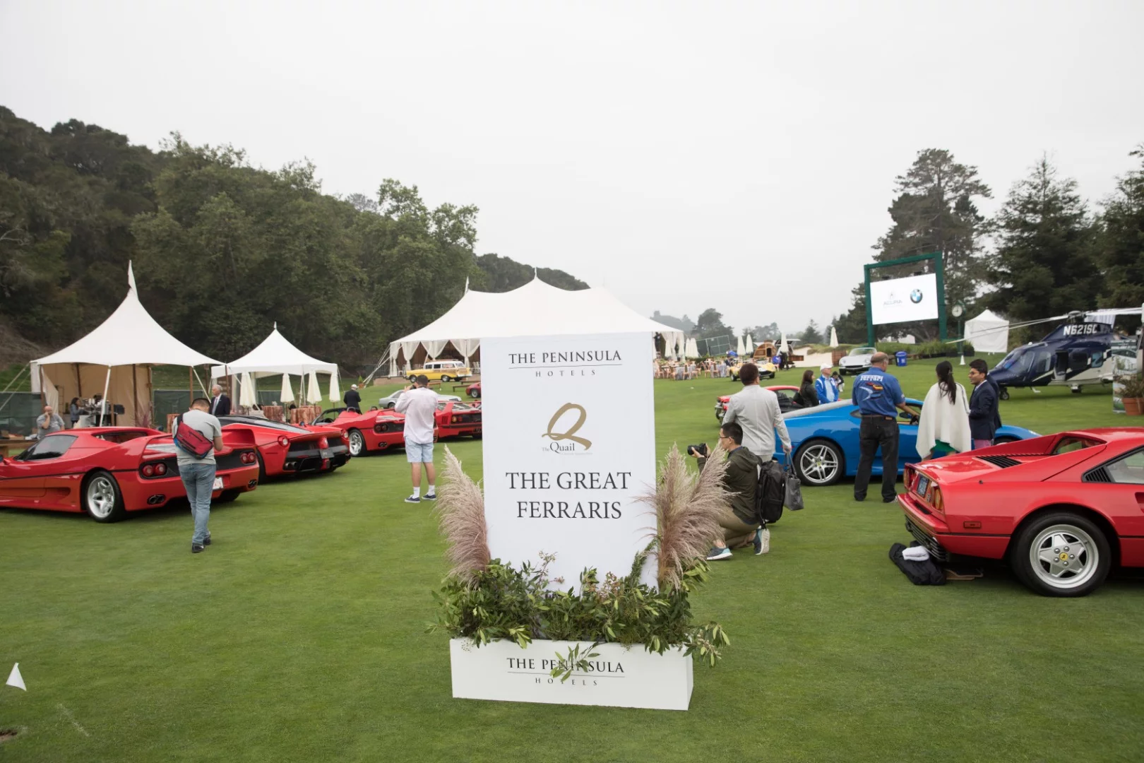 One of the many fascinating curated aspects this year's Quail was a display of the great Ferraris and, just as 50 pristine examples of every Ferrari Spider were displayed at Pebble Beach, the more selective displays at the Quail had to narrow down the number of cars