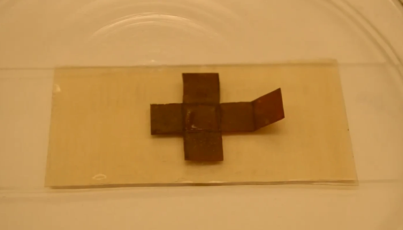 Scientists have created a new smart material that can heal itself and change shape when exposed to heat and light