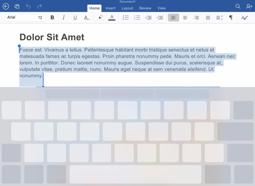 The new iPad trackpad feature