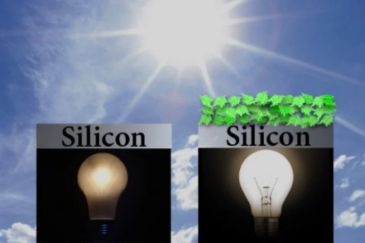 Adding plant proteins greatly enhances silicon solar cells (Image: Julie Turner/Vanderbilt)