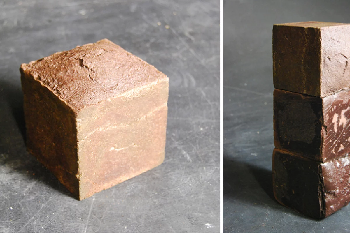 The "Blood Bricks" created by British architecture school graduate Jack Munro