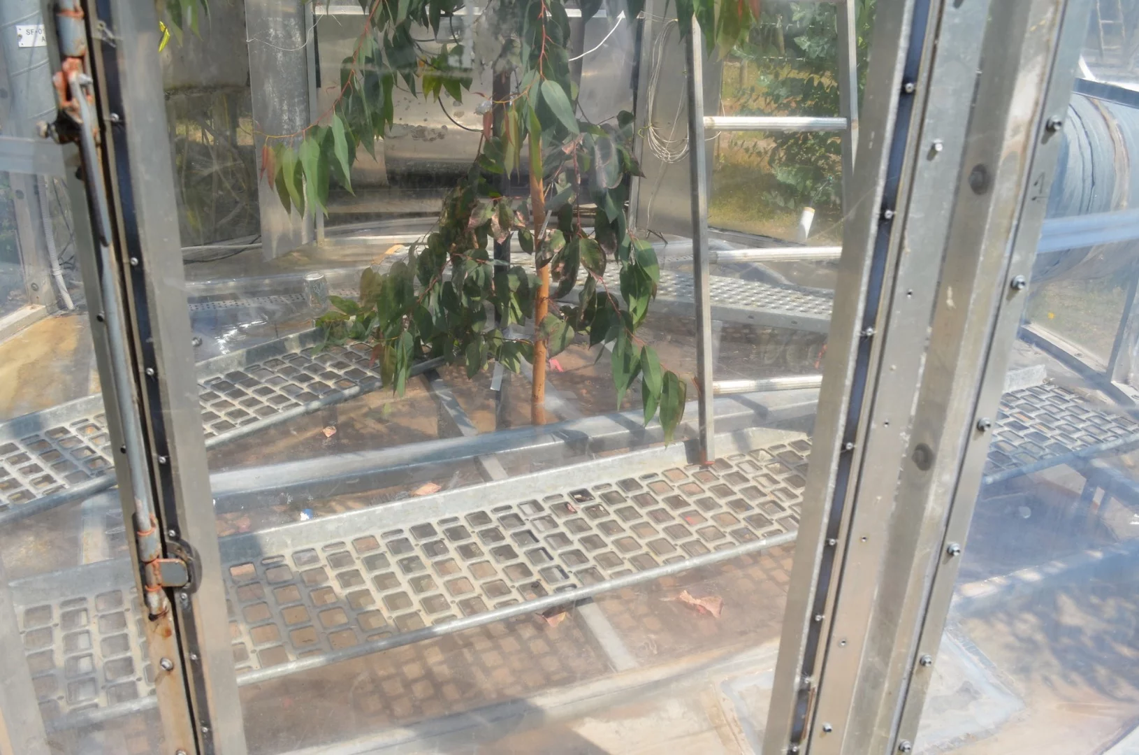 The chambers allow the tree roots to also be isolated