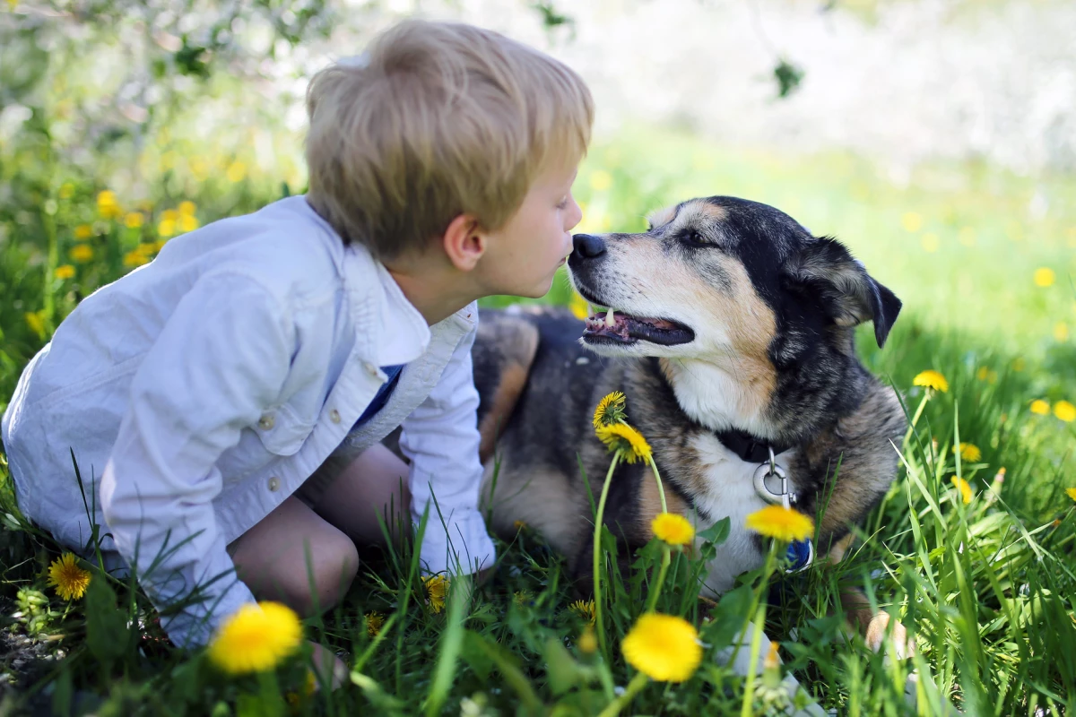 Cancers in humans and dogs are very similar, which is helping the development of effective treatments