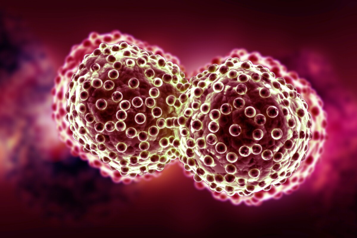 Herpes virus engineered to destroy skin cancer cells