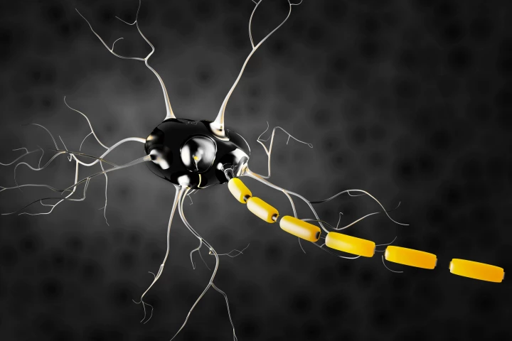 New research found a toxin in anthrax can specifically target and silence activity in pain-signaling neurons in the brain