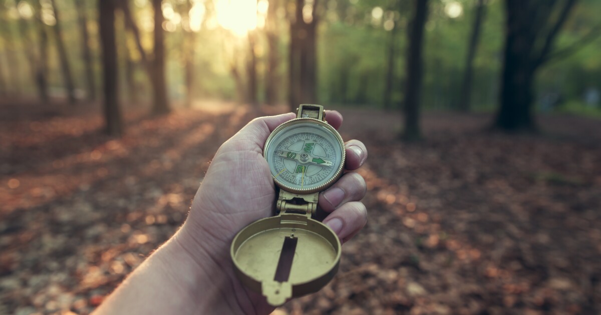 Poor sense of direction? Blame your brain compass Poor sense of direction? Blame your brain compass