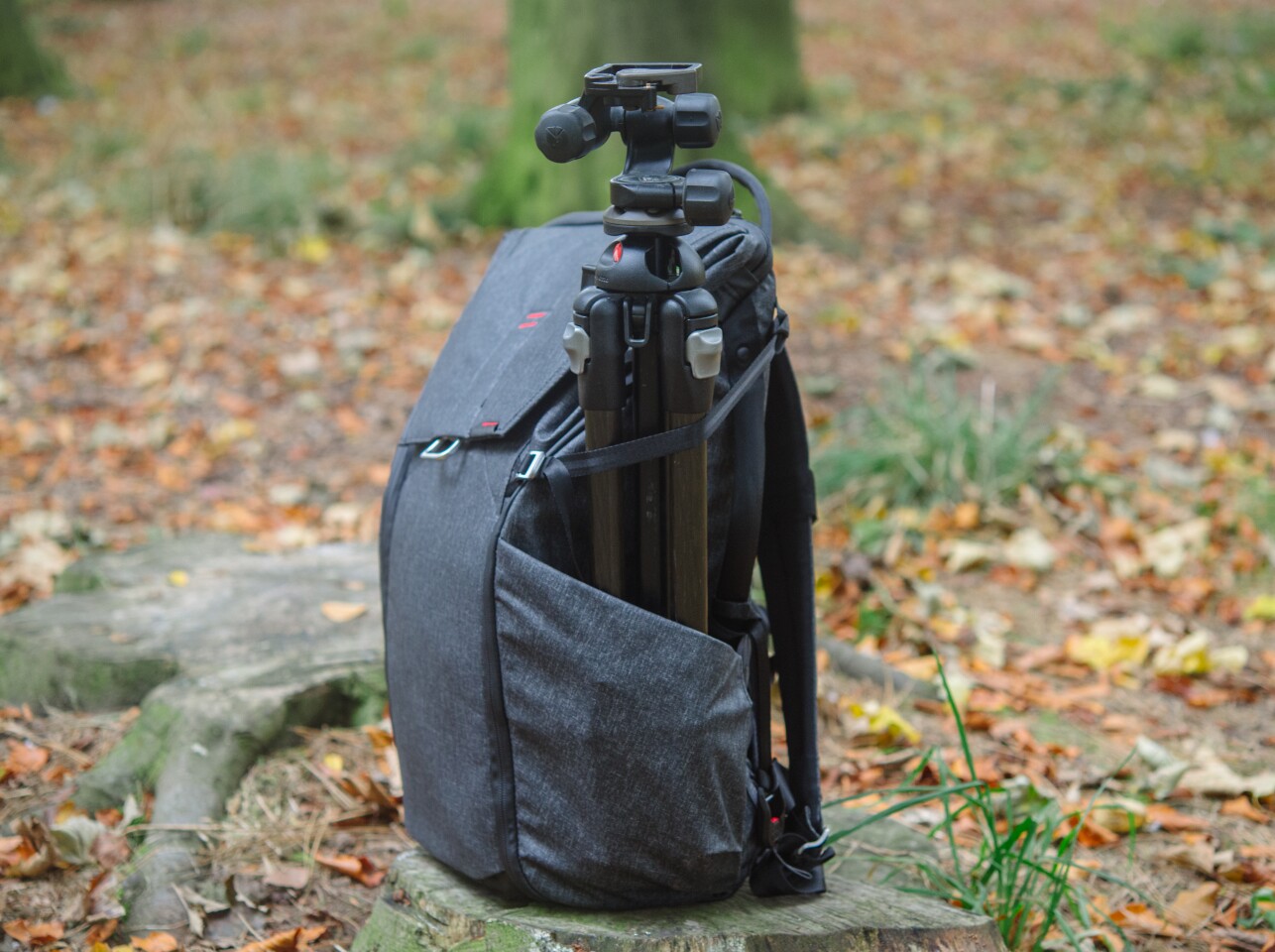 The side pockets on the Peak Design Everyday Backpack can even accommodate a tripod