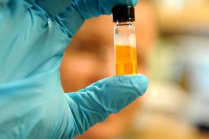 A vial of nanocrystals in solution, which serve as “electronic glue” for semiconductor-based technologies(Photo: Dan Dry)