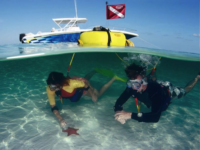 Brownie's VS335 Third Lung diving system automatically adjusts its compression speed according to the diver's need for air