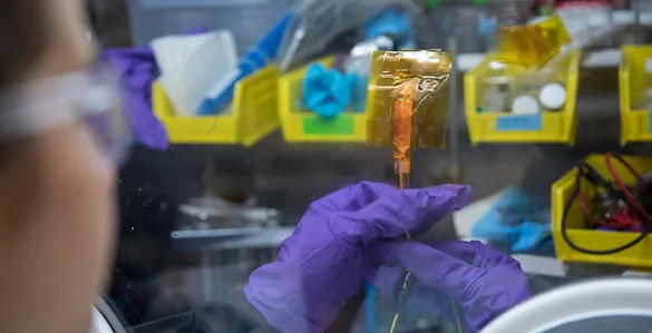 The Vanderbilt material is thin enough to be woven into clothing