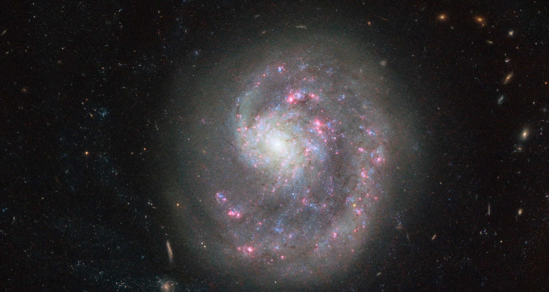 A dwarf galaxy called NGC 4625, located about 30 million light-years away in the constellation of Canes Venatici (The Hunting Dogs)