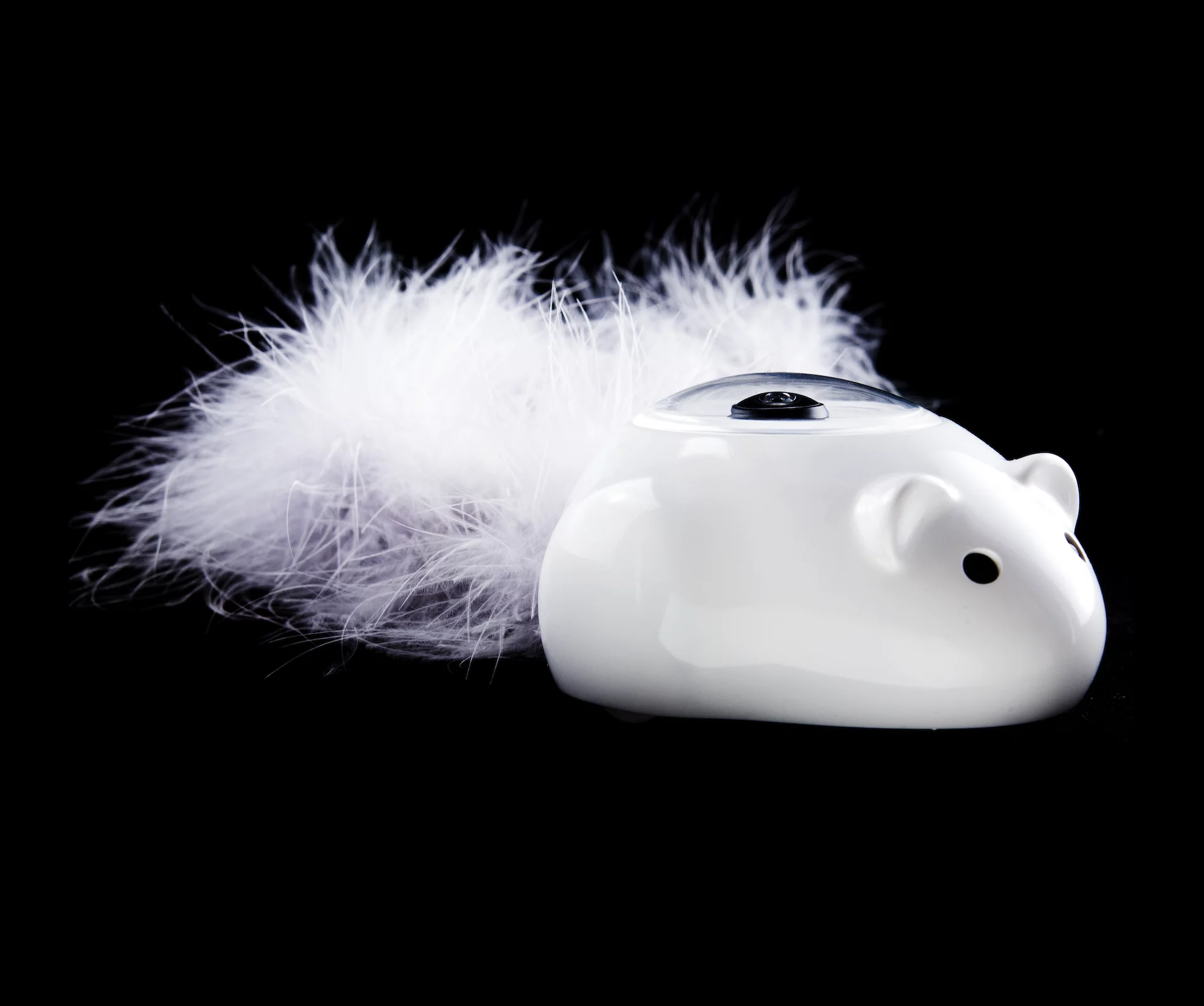 The creators of Mousr reckon its the most engaging cat toy ever made