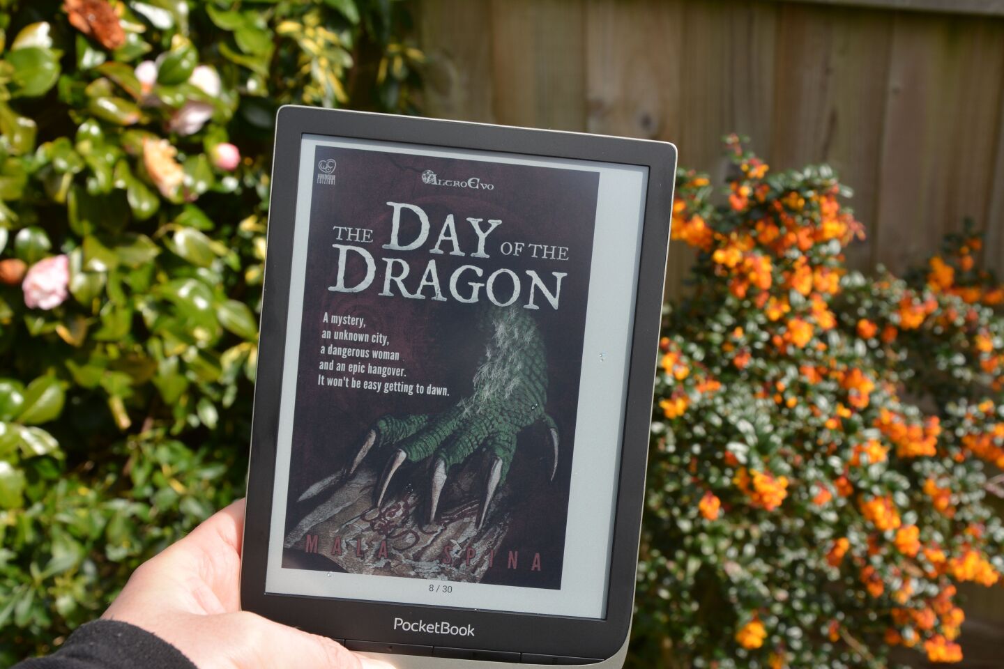 Review Reading In Color With The Pocketbook Inkpad Color